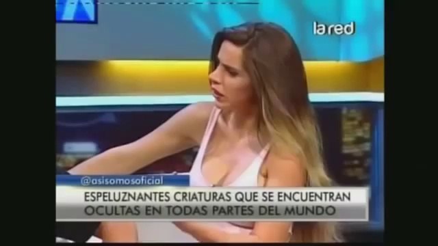 SALFATE Criaturas Mitológicas Criptozoología