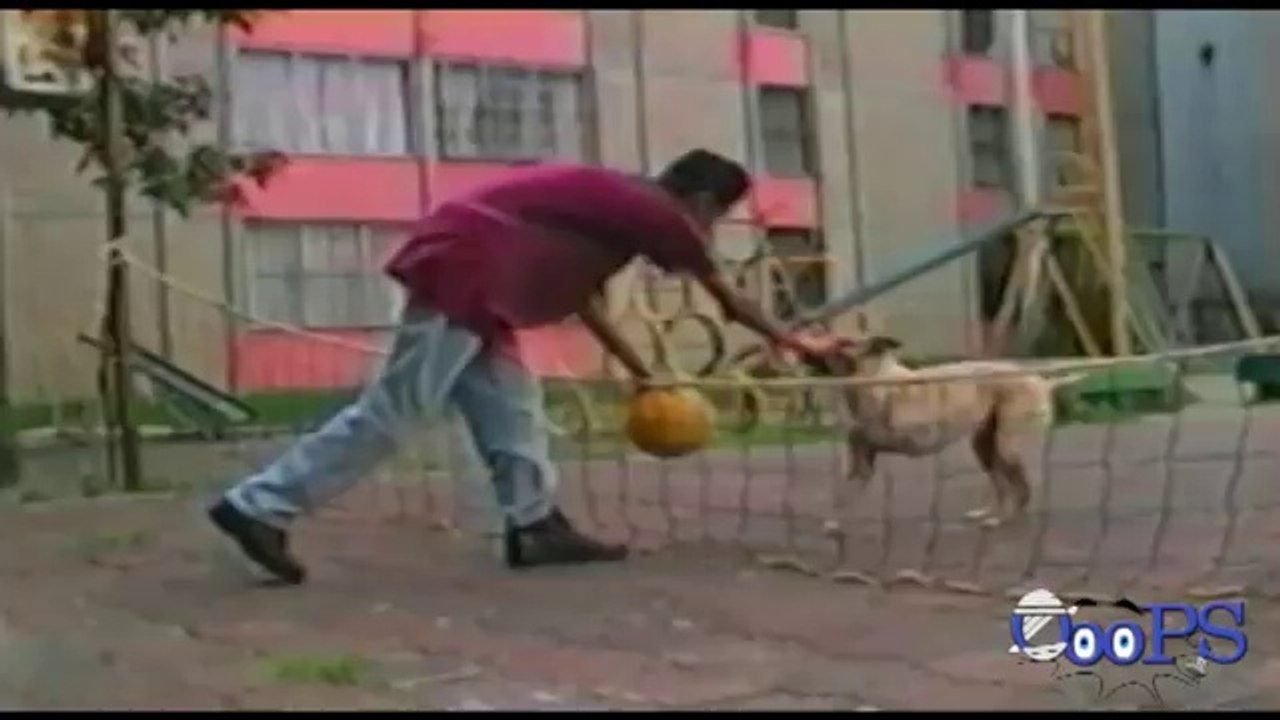 Pranks - Gags - Win - Fail.39