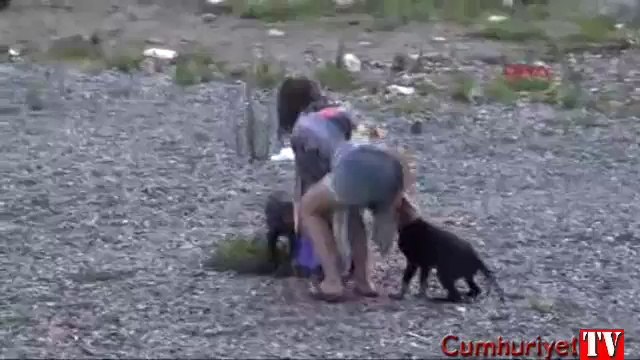 Yavru köpekler küçük kızın peşini bırakmadı