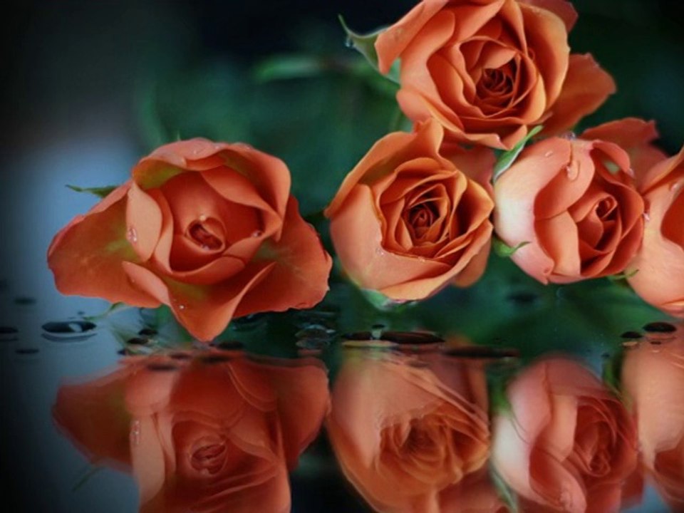 "Cosmic Port - Розы на столе" ( "Cosmic Port - Roses On A Table" )а столе