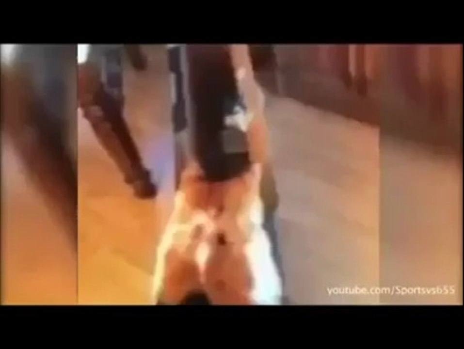 Funny Cats