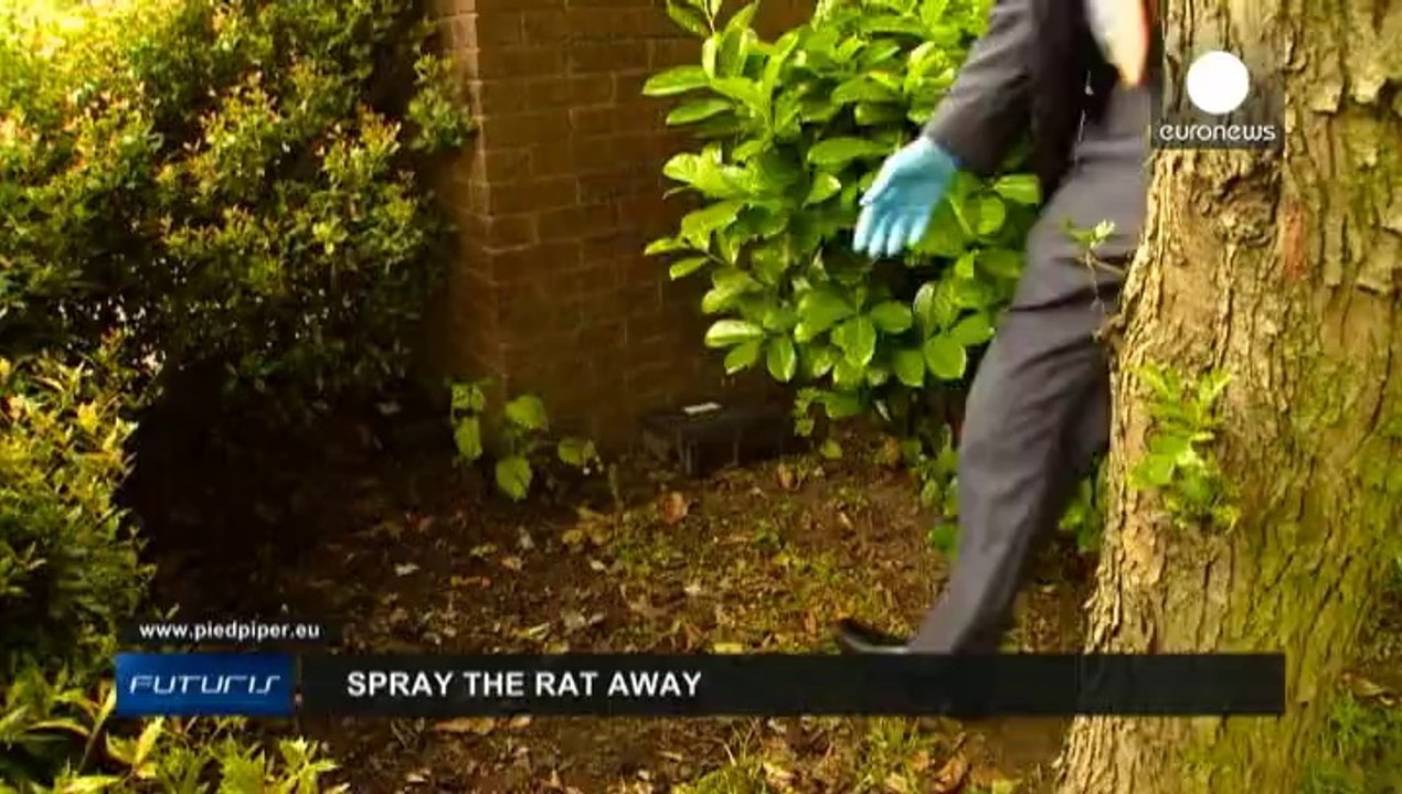 Matar ratas a golpe de spray