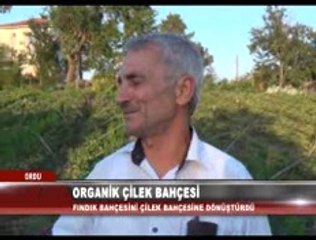 13 temmuz haber site