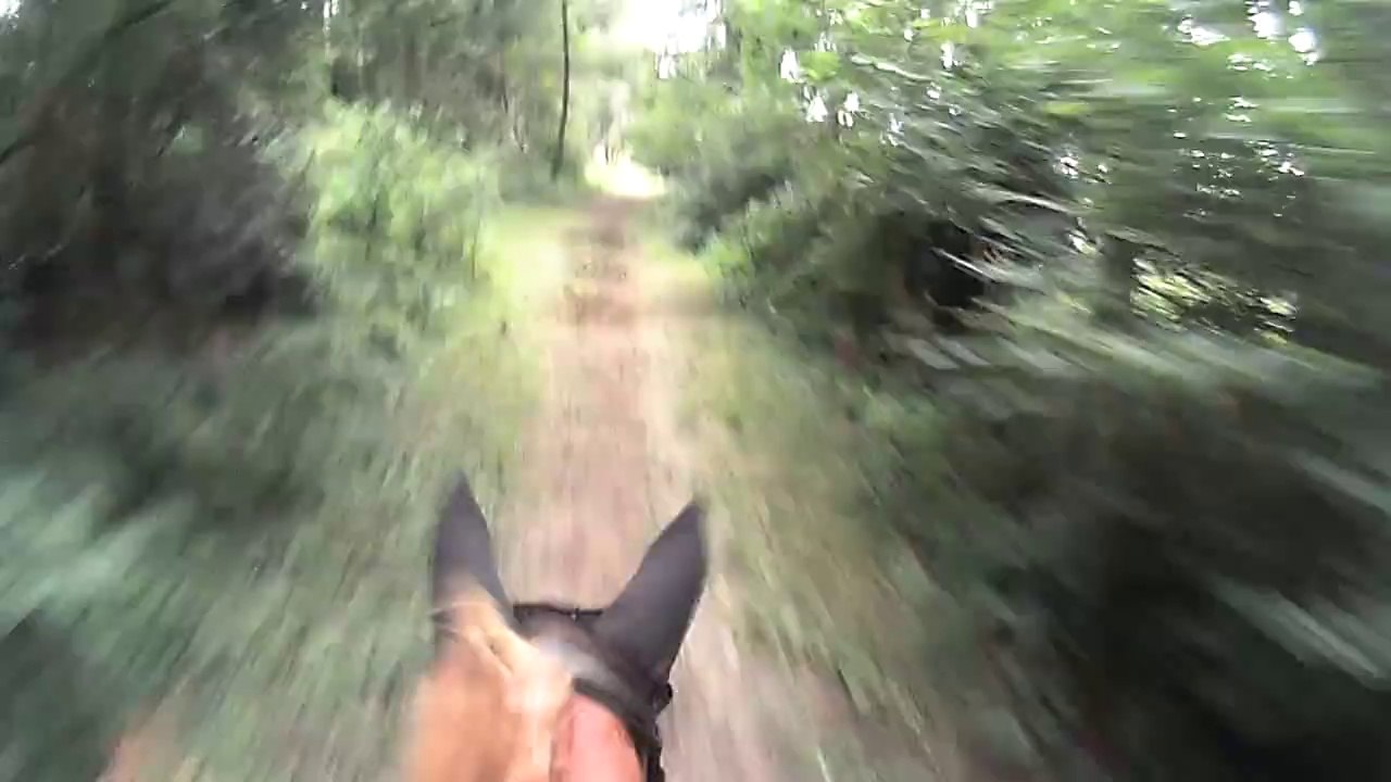 6k cross Vernet 2014