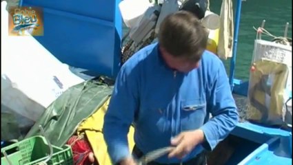 Gobie Bleu TèVé 2 - Les fils d'ouvriers - Le Professeur Ieber NATOS