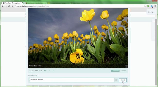 PG Dating Pro Use Case