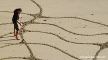 Artist Uses Rake To Create Stunning Designs In Beach Sands