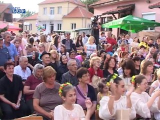 Otvoren 9.“Petrovdan fest“, 14. jul 2014.