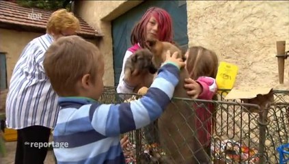 Welpen zum Schnäppchenpreis - Miese Geschäfte mit Hundebabys