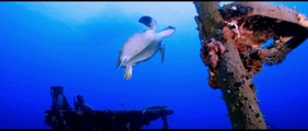 St Eustatius UnderWater HD