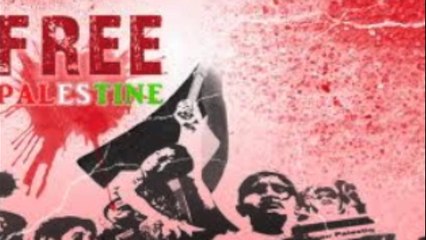 Q&A session ,palestin (why only palestinian are suffering?)