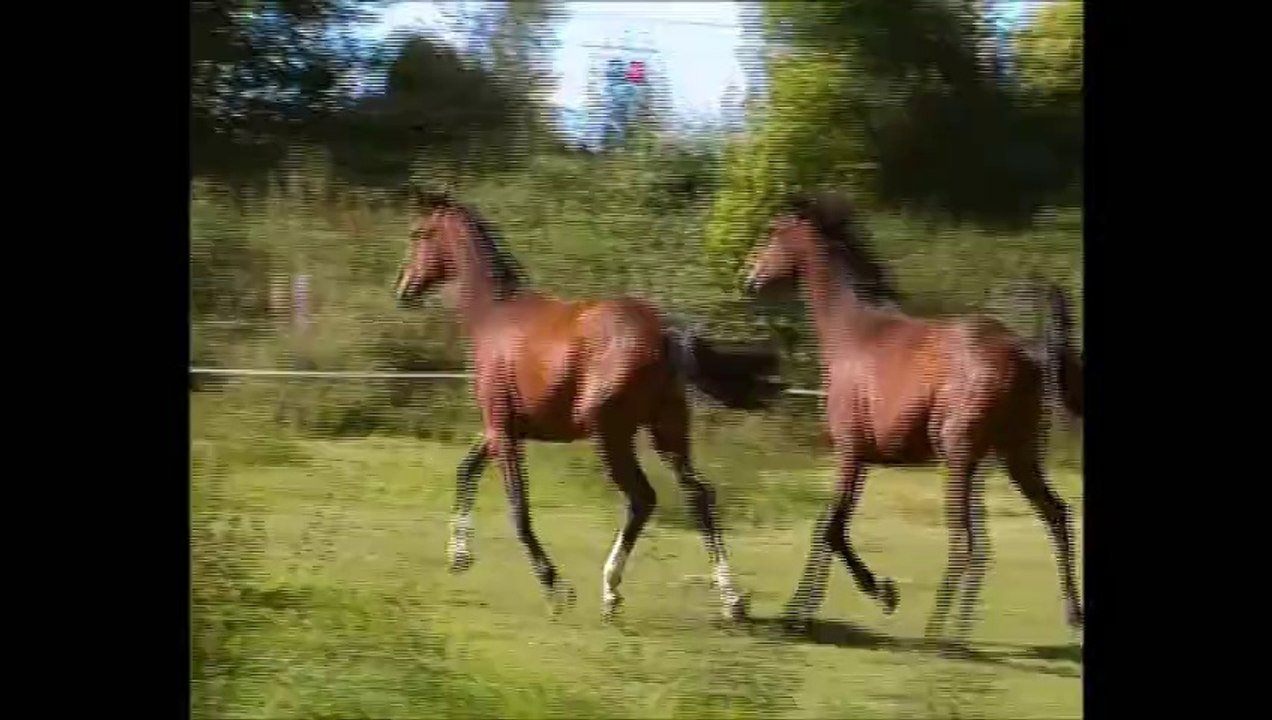 Les  2 ans juillet 2014  - Cascade du Dojo et Call Me d'Argonne