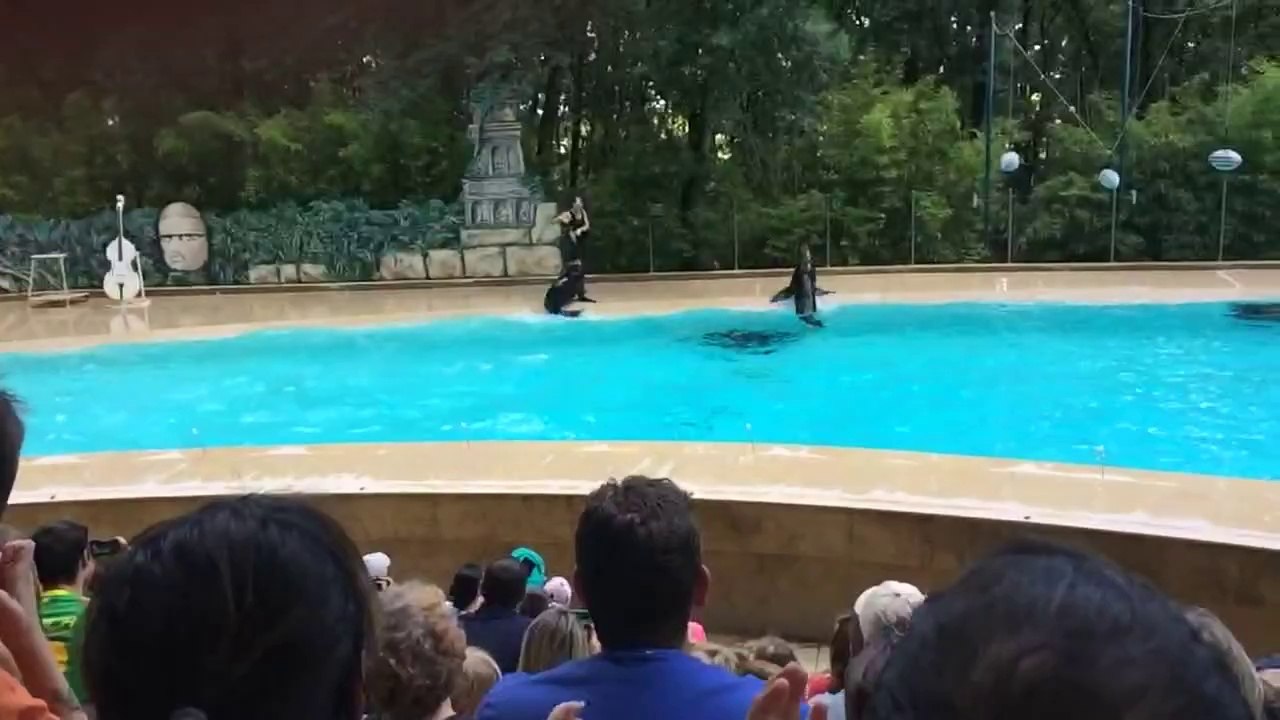 Spectacle otari zoo Safari  african plaisance du Touch