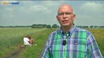 Groninger agrarisch natuurbeheer voorbeeld voor rest van Nederland. - RTV Noord