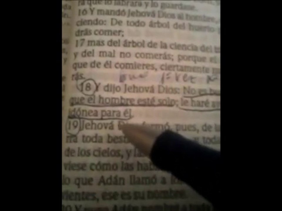 Profeta Miguel de Sevilla- Dios dijo ; todo es bueno menos......