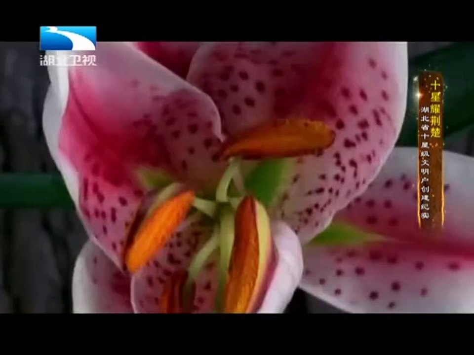 20130622 中国NO.1 20130622