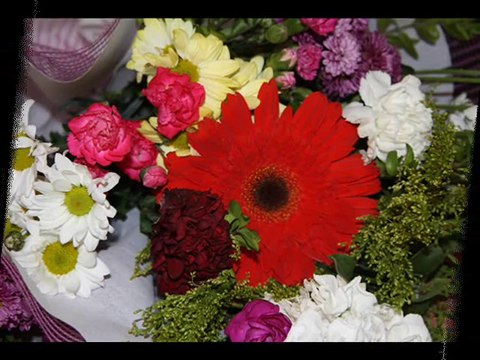 YILDIZ DEMİRKOL SAVAŞ-yıldızlıtürküler-BÜLBÜL YUVA YAPMIŞ GÜLÜN ÜSTÜNE