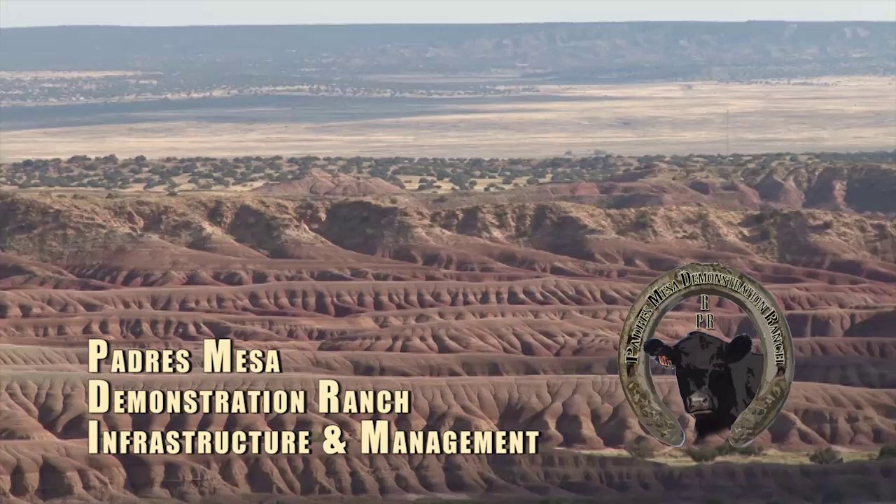 PMR - Management and Infrastructure