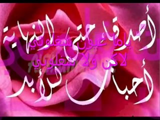 شيماء الشايب سيره الحب