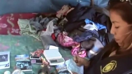 15,000 marijuana plants found in Peru