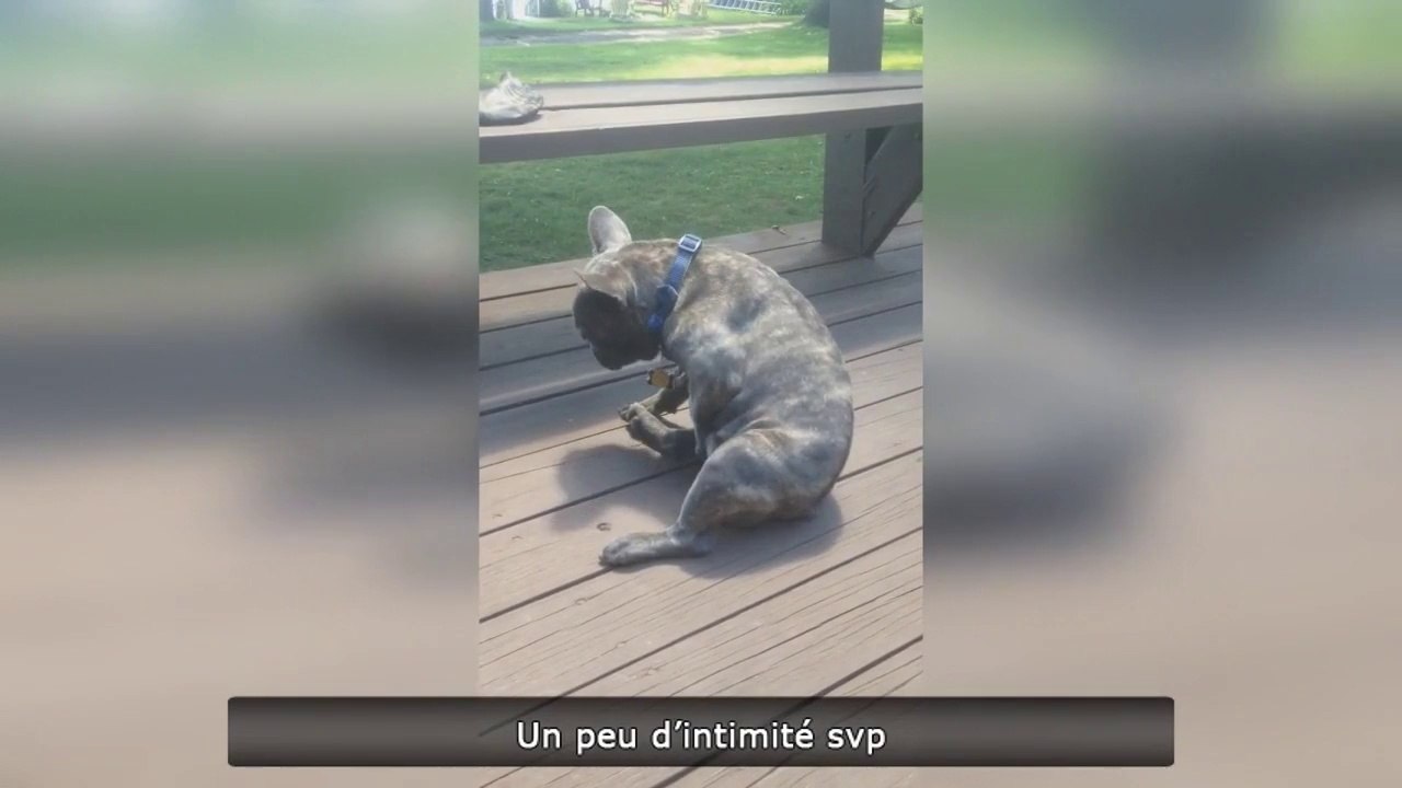 Un peu d'intimité svp