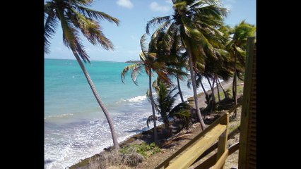 ART MENGO  la mer n'existe pas