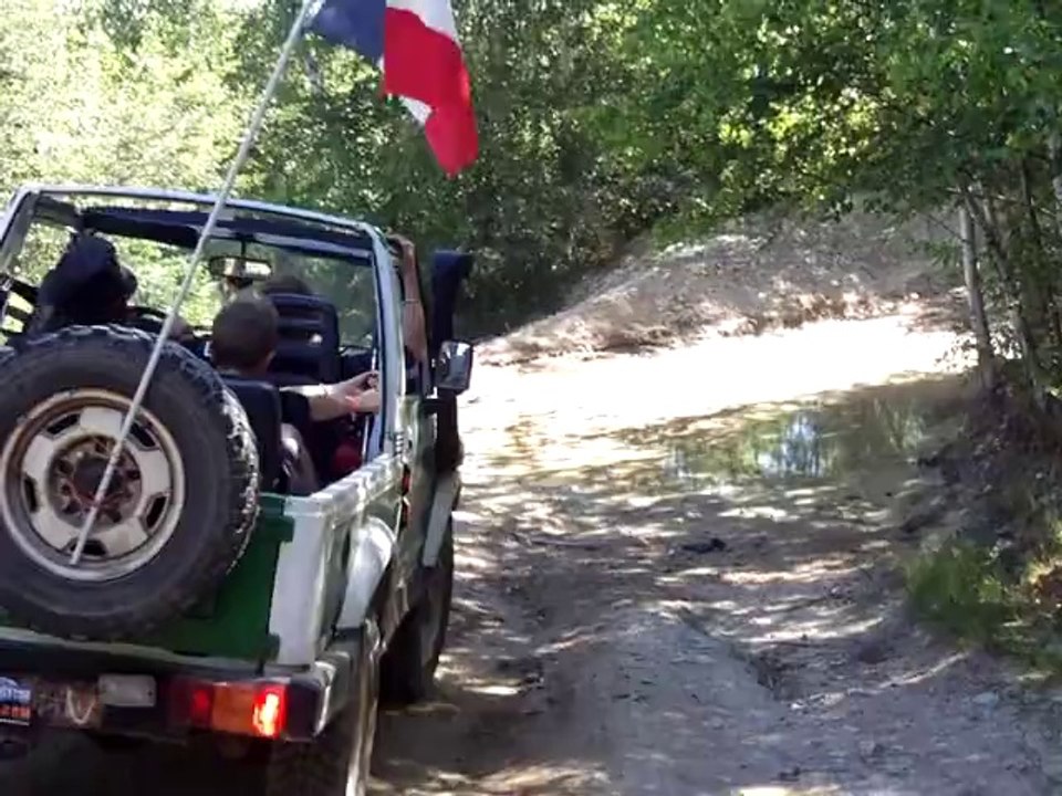 ZD4.1