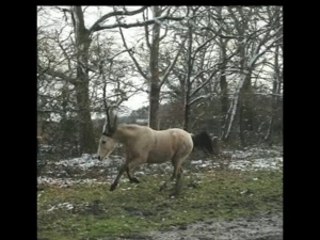 La belle vie de mes amours