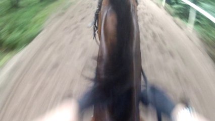 14-06-28 - Trotting Chantilly