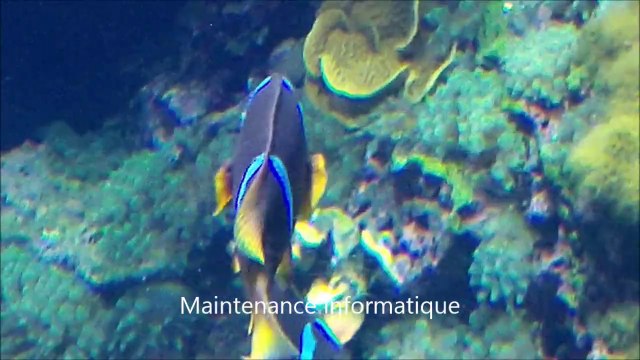 Driss Consulting - Partenaire du Petfood-Score Pacta - Informatique Cannes et Nice