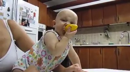 Limon böyle yenir..Şapur şupur.