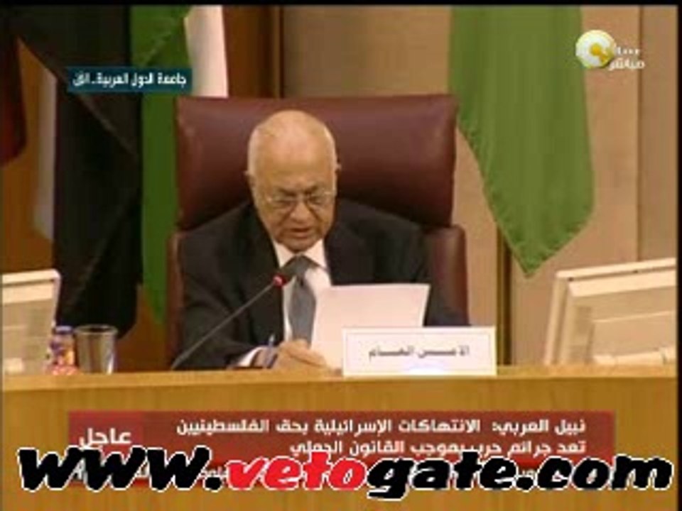 نبيل العربي