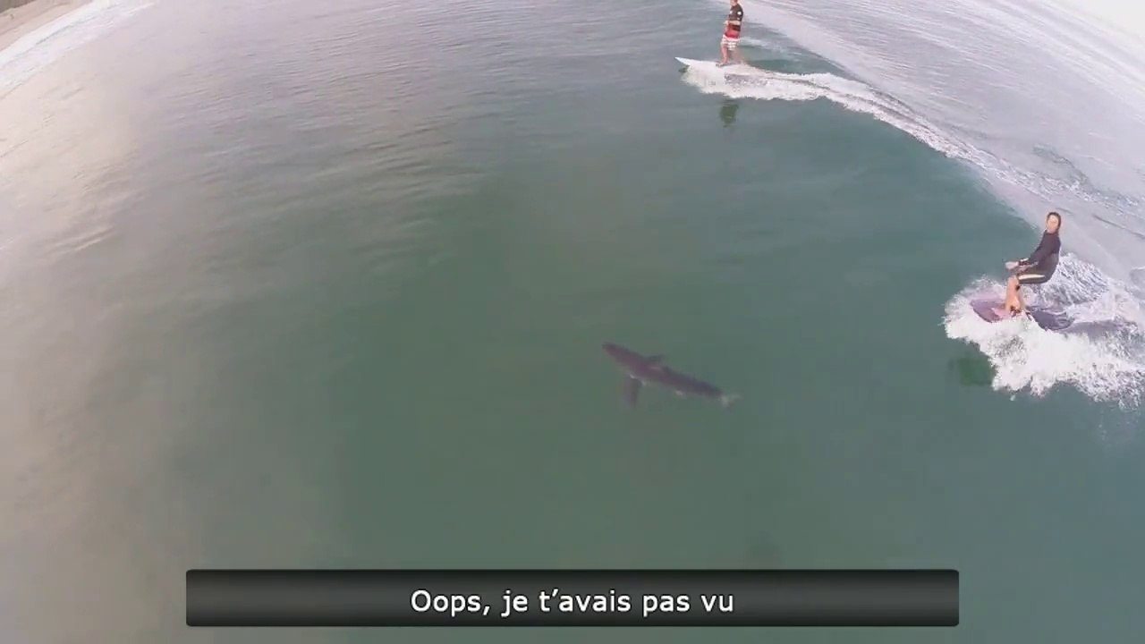 Oops, je t'avais pas vu
