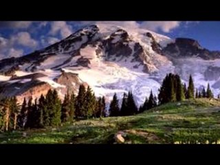 Foro Comunal Programa 31