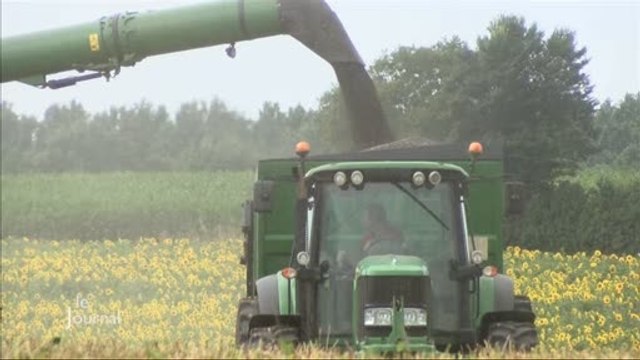 Moissons : Reportage sur les parcelles d’Eric Porcher