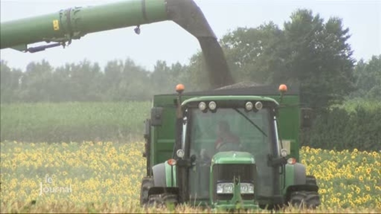 Moissons : Reportage sur les parcelles d’Eric Porcher