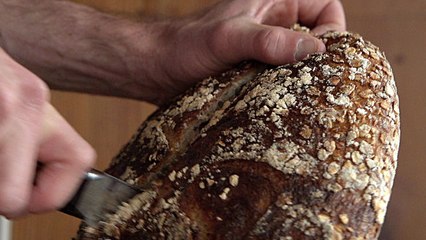 Annals of Gastronomy - New Bread, Ancient Grains