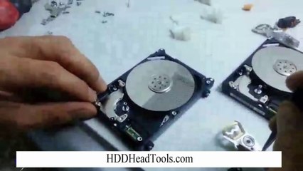 Western Digital Laptop Hard Disk Head Swap