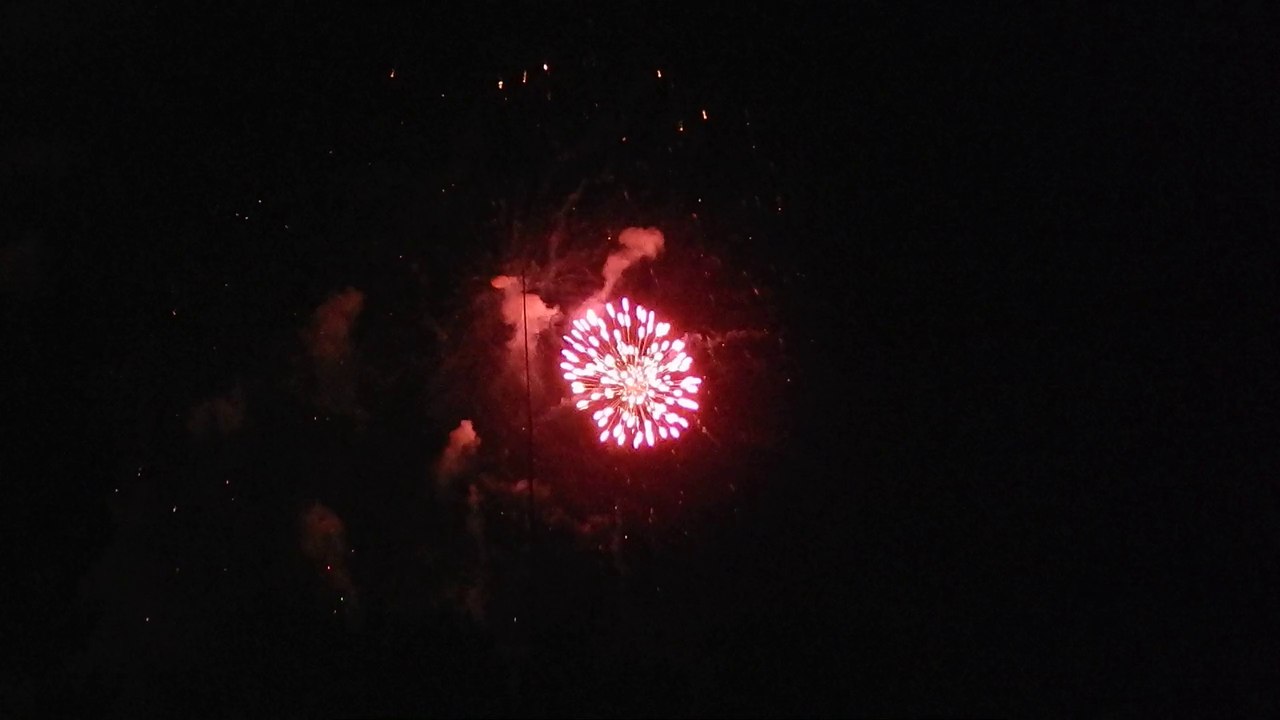 Max captures some fireworks. BOOMYAYAMERICA!