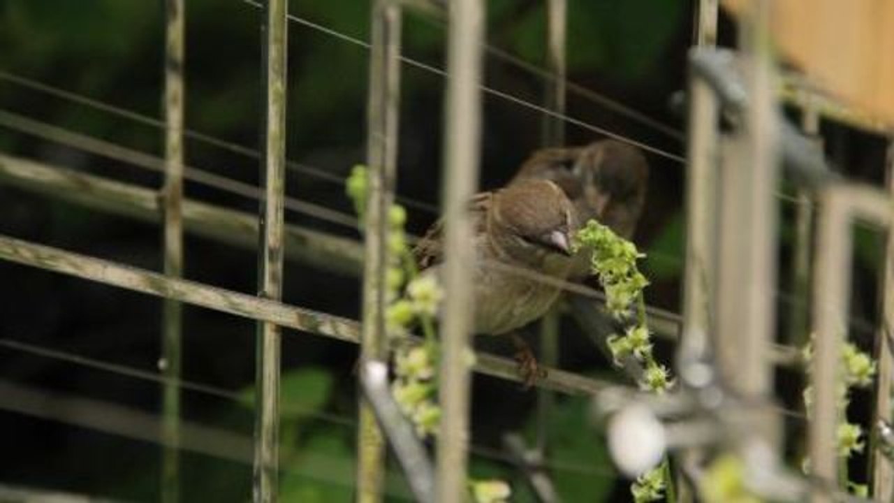 Notes from All Over - Sarah Sze on the High Line