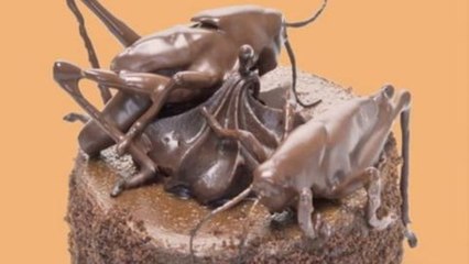 Annals of Gastronomy - Bug Food with Dana Goodyear