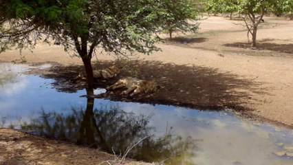 Fujifilm X100S Videos Ation Random Images May 2013