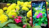 Nokia Lumia 1320 chính hãng tại Việt Nam