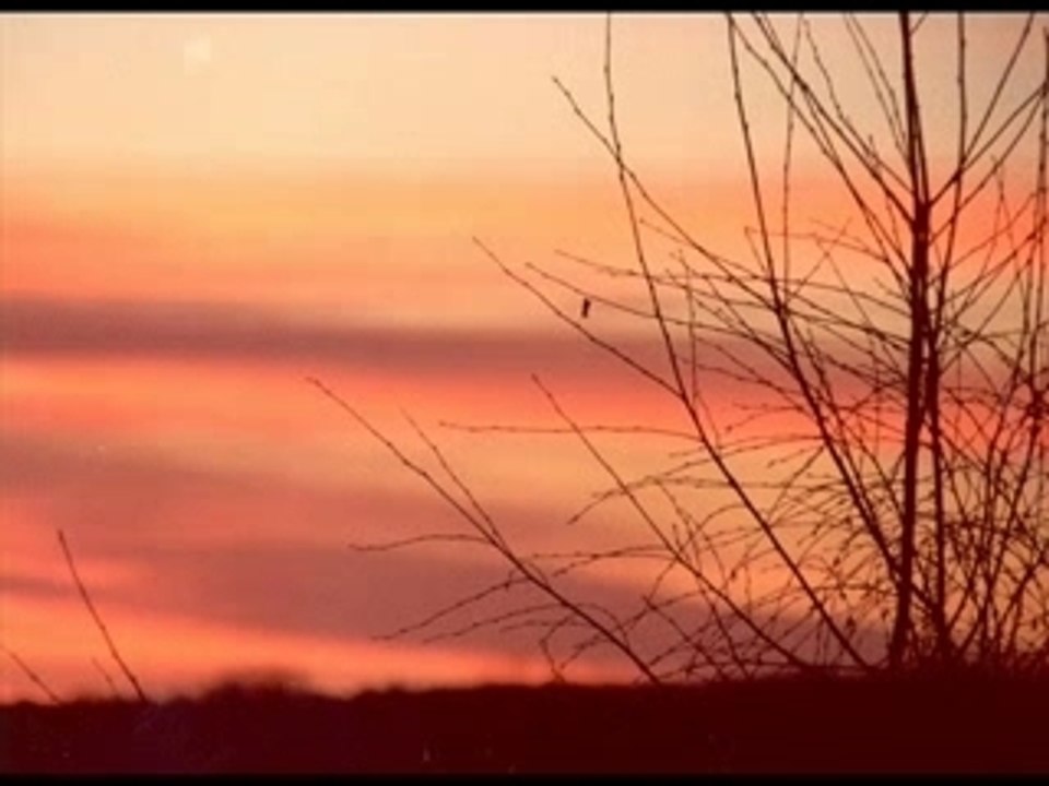 Always Hum A Song - Feb07