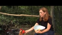 Notes from All Over - Visiting Susan Orlean’s Chicken Coop