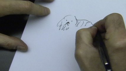 Sketchbook - Draw-a-Dog: Sidney Harris