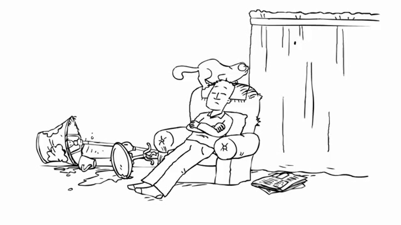 Simon's Cat - Fly Guy