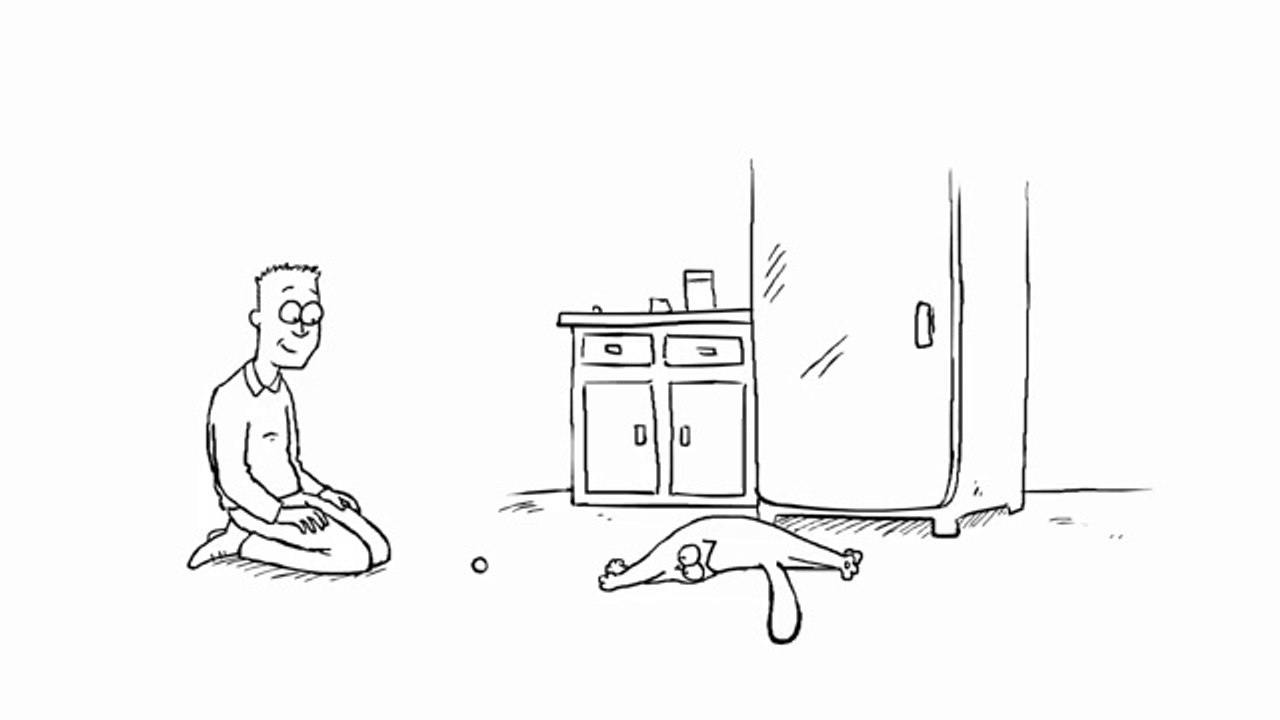 Simon's Cat - Hidden Treasure