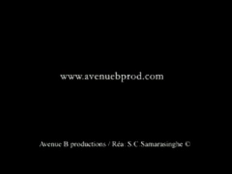 Voeux 2007 Wishes 2007