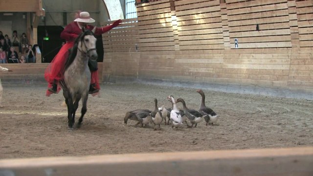 Spectacle Trace au Haras de Lamballe